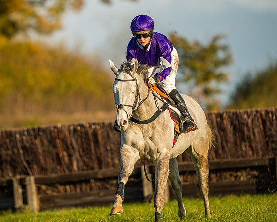 Race 5 - Maiden Race  (25 of 66)