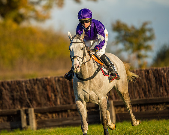 Race 5 - Maiden Race  (26 of 66)