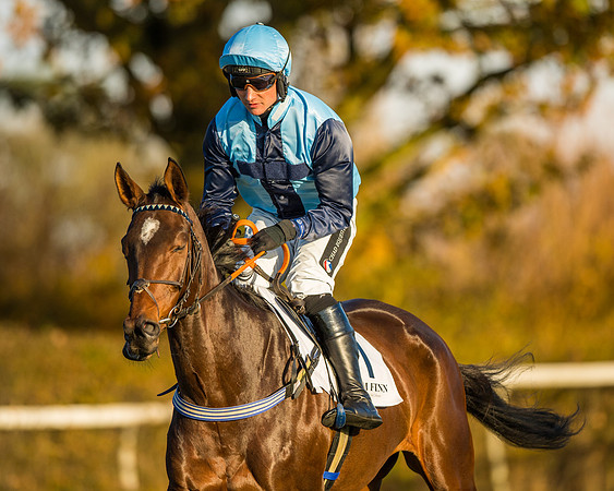 Race 5 - Maiden Race  (27 of 66)