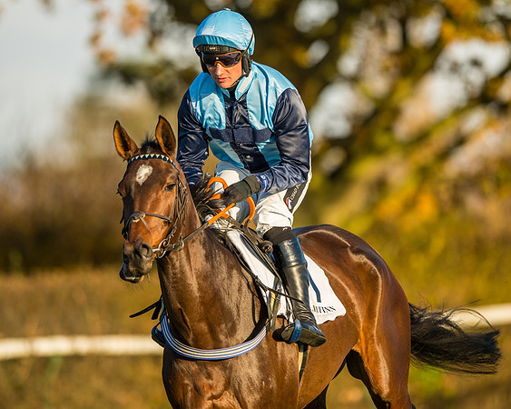 Race 5 - Maiden Race  (28 of 66)