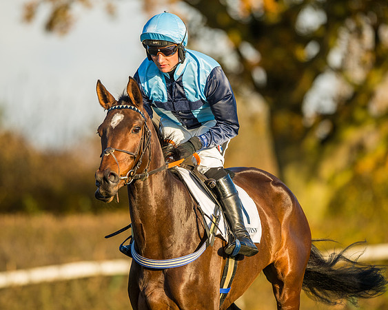 Race 5 - Maiden Race  (29 of 66)
