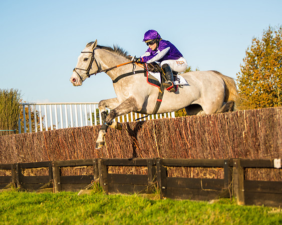 Race 5 - Maiden Race  (36 of 66)