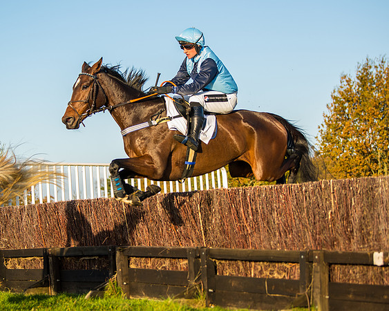 Race 5 - Maiden Race  (39 of 66)
