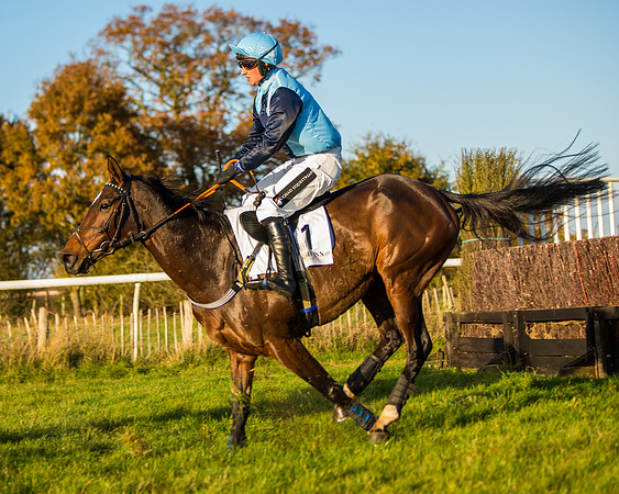 Race 5 - Maiden Race  (43 of 66)