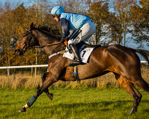 Race 5 - Maiden Race  (44 of 66)