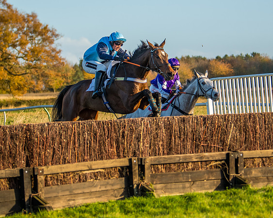 Race 5 - Maiden Race  (49 of 66)