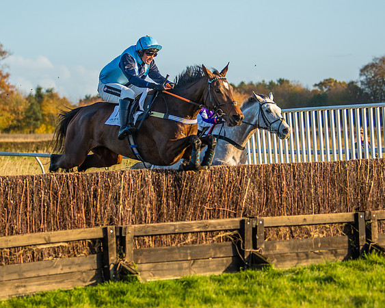 Race 5 - Maiden Race  (50 of 66)