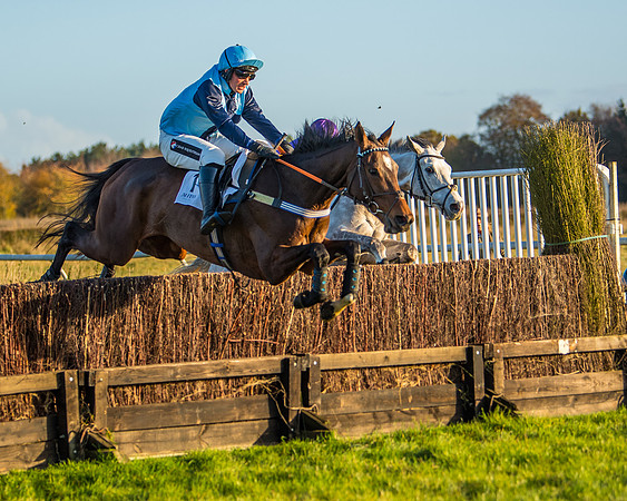 Race 5 - Maiden Race  (51 of 66)