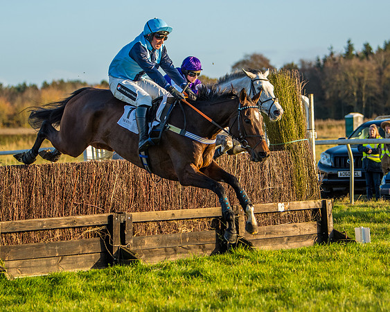 Race 5 - Maiden Race  (52 of 66)