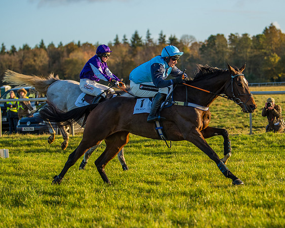 Race 5 - Maiden Race  (57 of 66)