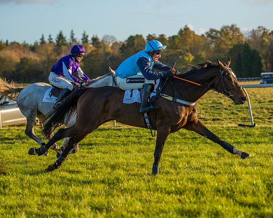 Race 5 - Maiden Race  (58 of 66)