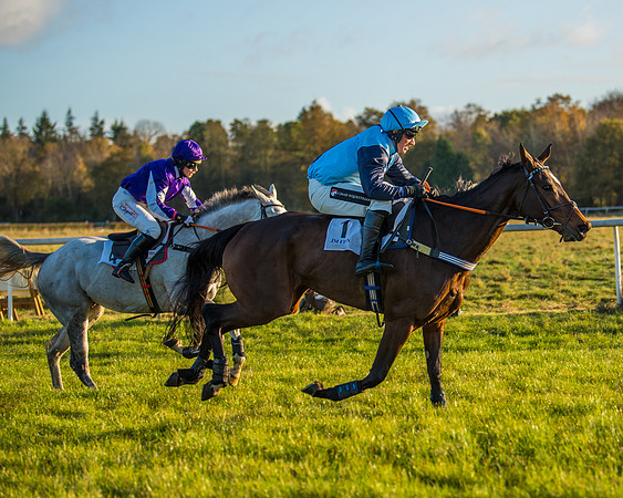 Race 5 - Maiden Race  (59 of 66)