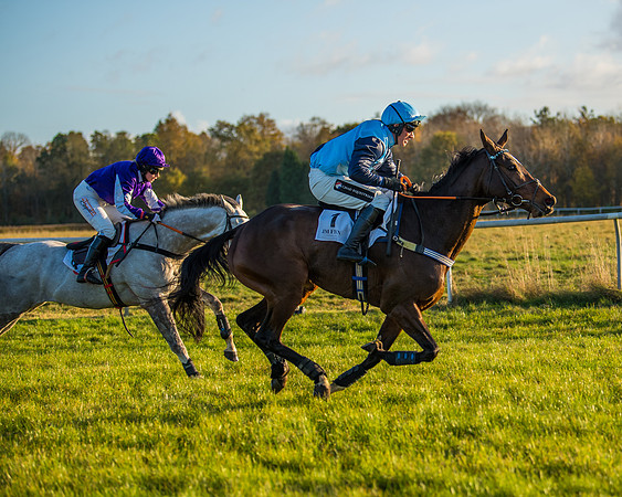 Race 5 - Maiden Race  (60 of 66)