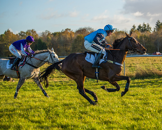 Race 5 - Maiden Race  (61 of 66)