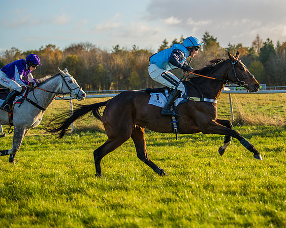 Race 5 - Maiden Race  (62 of 66)
