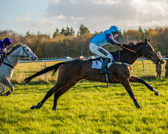 Race 5 - Maiden Race  (63 of 66)