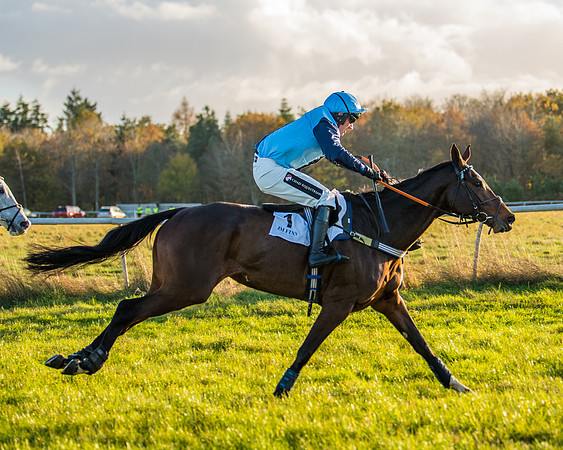 Race 5 - Maiden Race  (64 of 66)