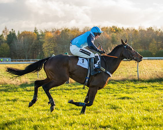 Race 5 - Maiden Race  (65 of 66)