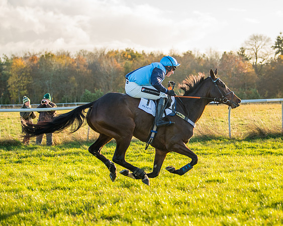 Race 5 - Maiden Race  (66 of 66)