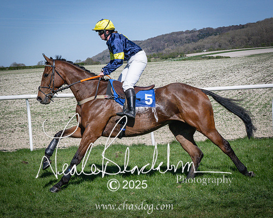 Race 5 - The restricted (32 of 113)
