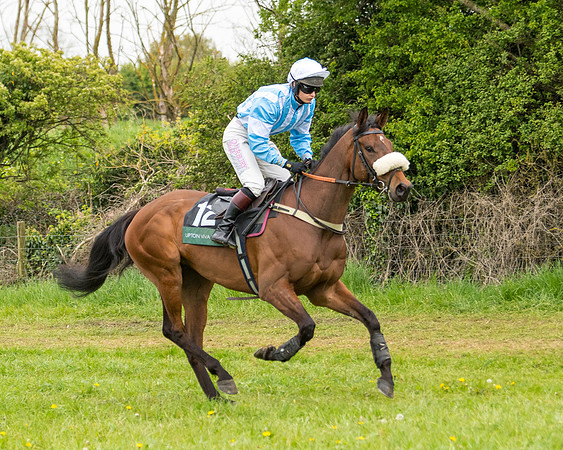Race 7 - Open Maiden  (19 of 106)