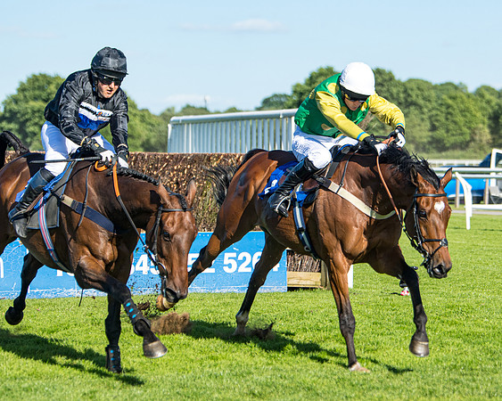 Race 1 - PPSA Open Hunter chase (47 of 78)