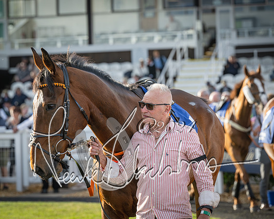 Race 4 - Peretemps Stratford Foxhunters (18 of 168)