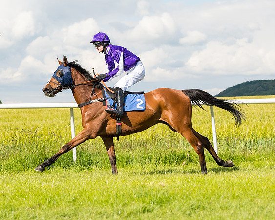 Race 5 - Restricted  (28 of 136)