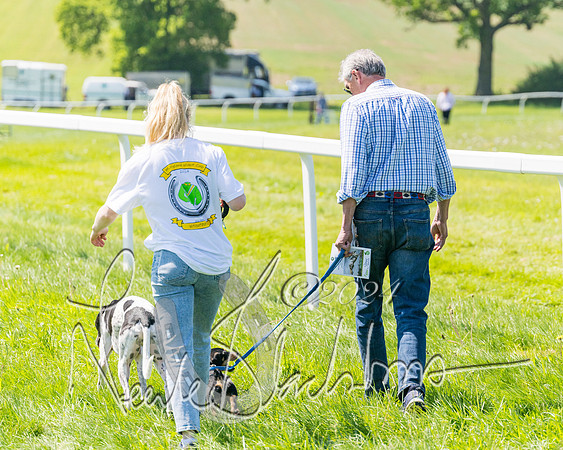 Pony Races  (34 of 141)