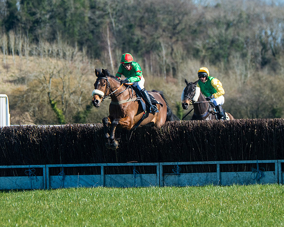 Race 2 - Warwick racecourse conditions  (4 of 122)