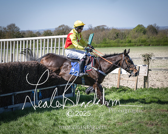 Race 2 - The Maiden (101 of 118)