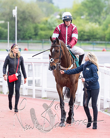 Race 5 - Mares Open  (18 of 129)