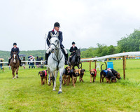 Race 7 - Hound Race etc (6 of 108)