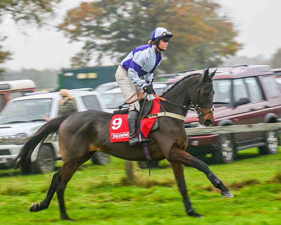 Race 3 - Ladies Open (8 of 60)