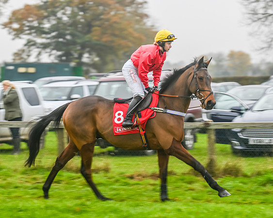 Race 3 - Ladies Open (16 of 60)