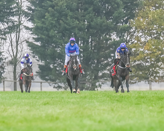 Race 3 - Ladies Open (24 of 60)