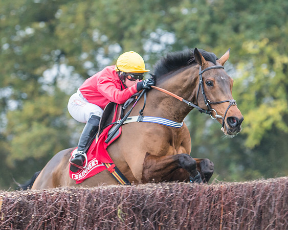 Race 3 - Ladies Open (43 of 60)
