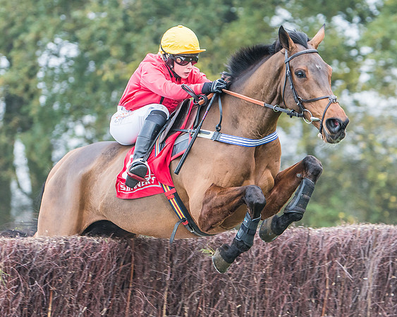 Race 3 - Ladies Open (44 of 60)