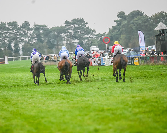 Race 3 - Ladies Open (59 of 60)