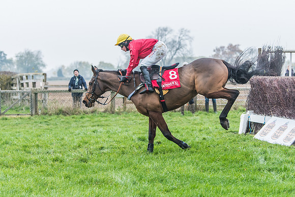 Race 3 - Ladies Open (72 of 74)