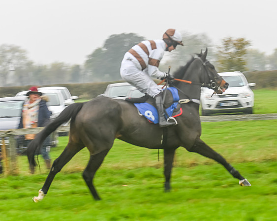 Race 5 - Open Maiden (2 of 106)