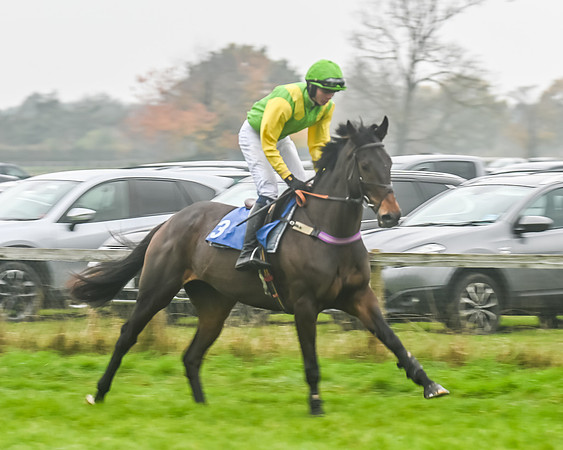 Race 5 - Open Maiden (3 of 106)