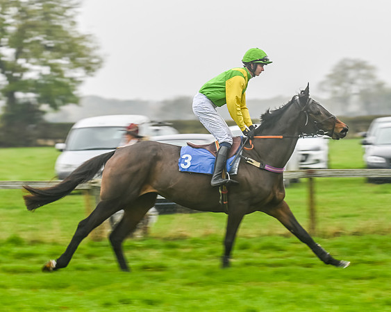 Race 5 - Open Maiden (6 of 106)