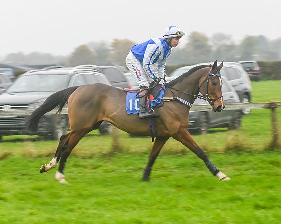 Race 5 - Open Maiden (11 of 106)