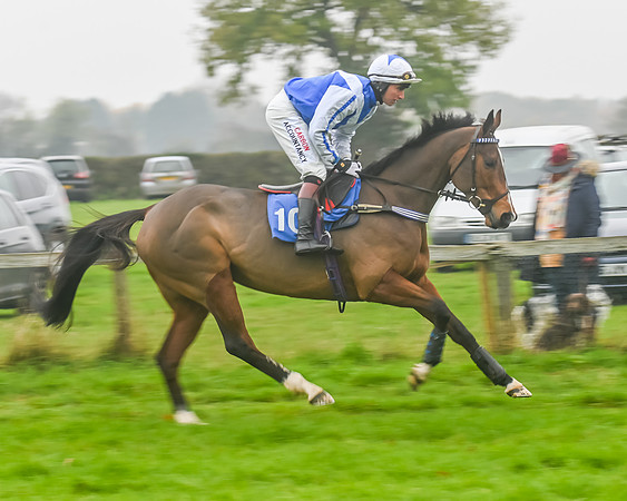 Race 5 - Open Maiden (12 of 106)