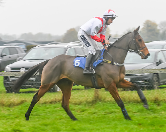 Race 5 - Open Maiden (18 of 106)