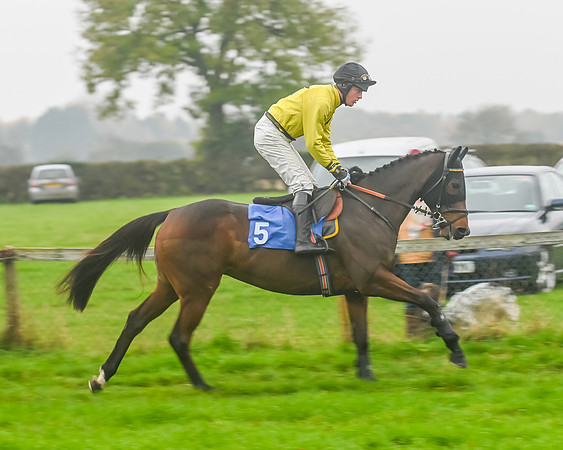 Race 5 - Open Maiden (20 of 106)