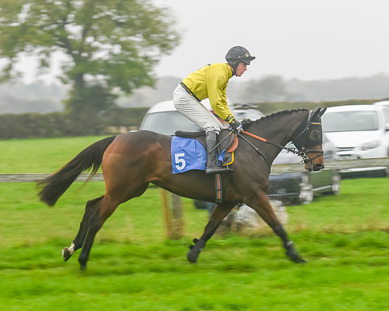 Race 5 - Open Maiden (21 of 106)