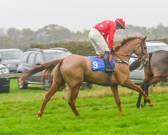 Race 5 - Open Maiden (22 of 106)
