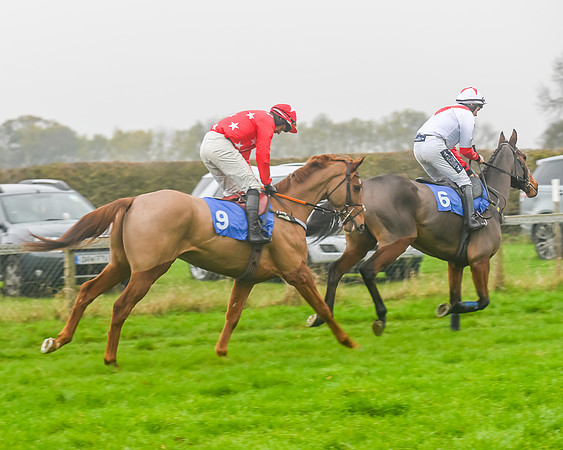 Race 5 - Open Maiden (23 of 106)